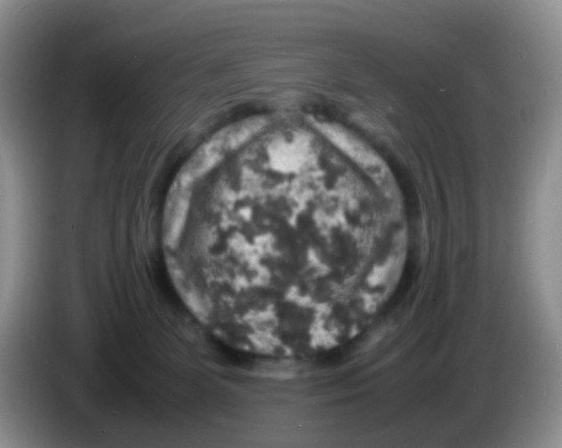 X0000086260131200704262003