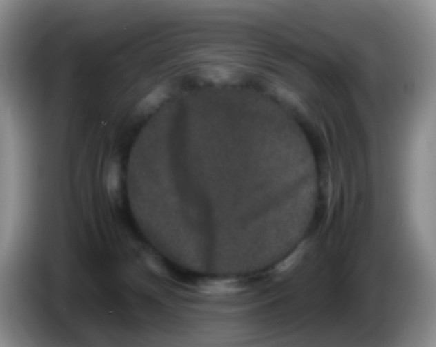 X0000086260132200704262003
