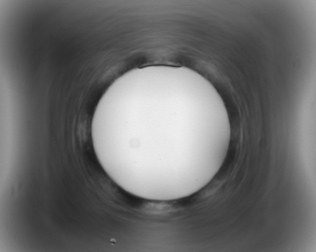 X0000086260133200704262003