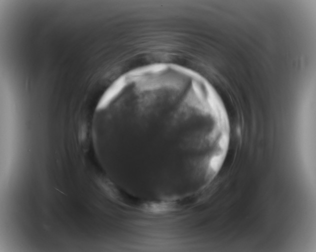 X0000086260134200704262003