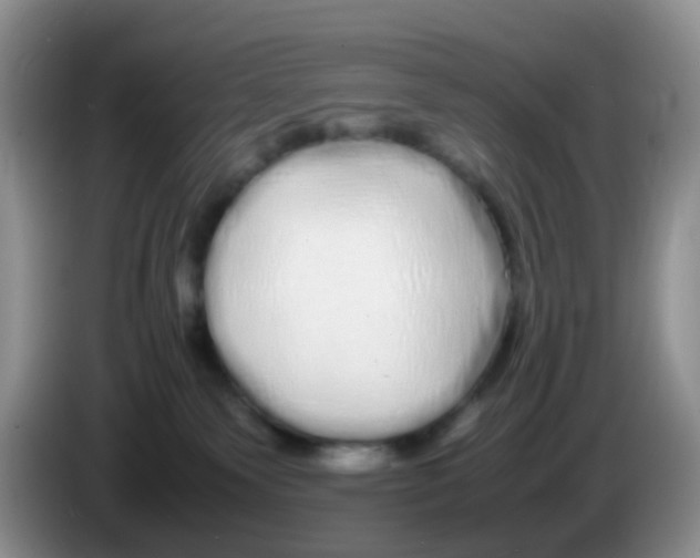 X0000086260135200704262003