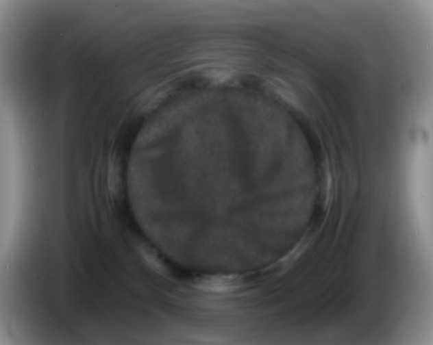 X0000086260136200704262003
