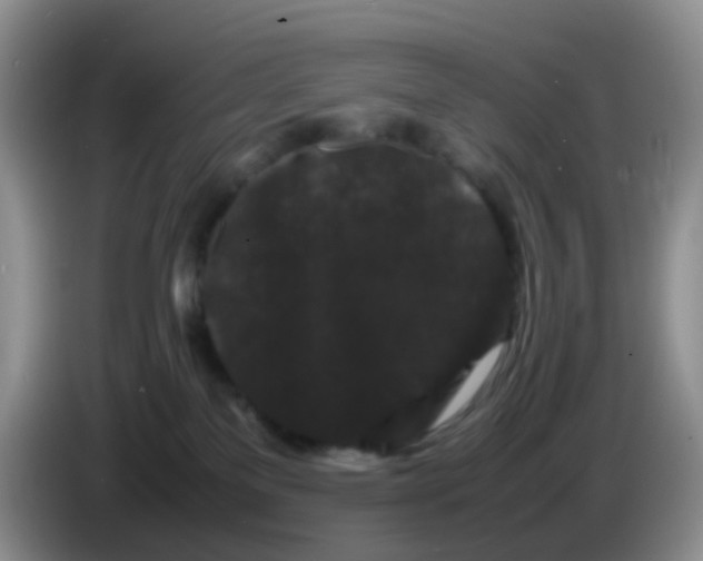 X0000086260137200704262003