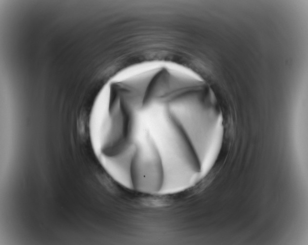 X0000086260138200704262003
