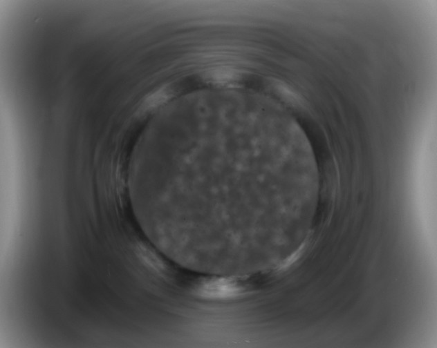 X0000086260140200704262003