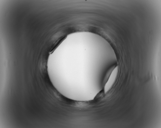 X0000086260141200704262003