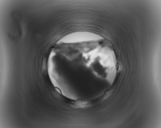 X0000086260143200704262003