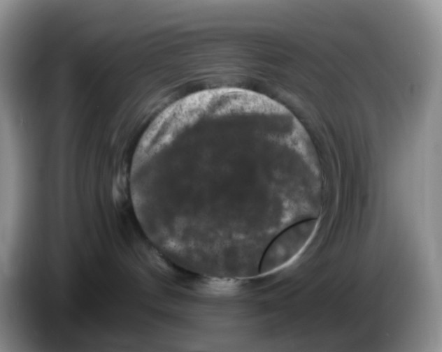 X0000086260144200704262003