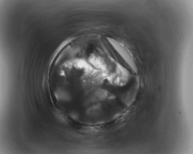 X0000086260147200704262002