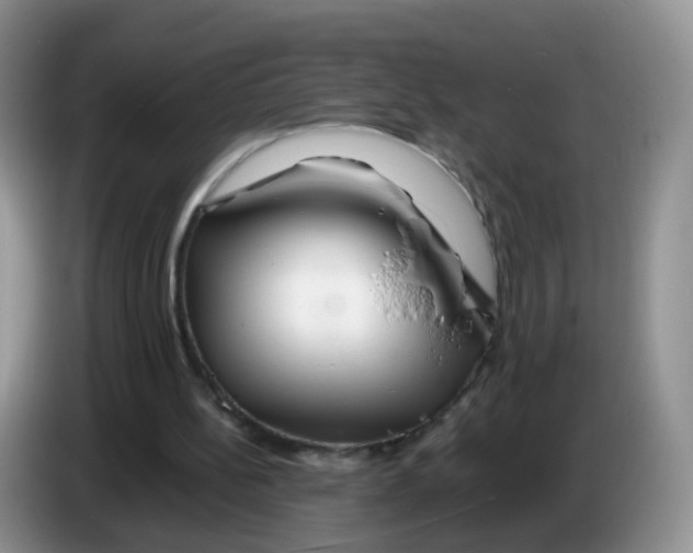 X0000086260148200704262002