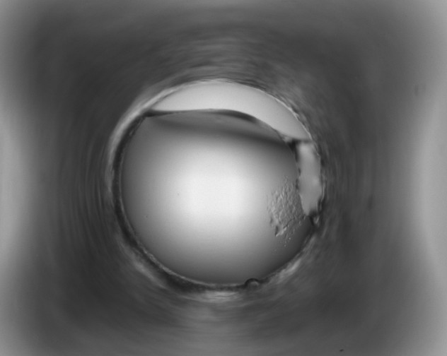 X0000086260150200704262002