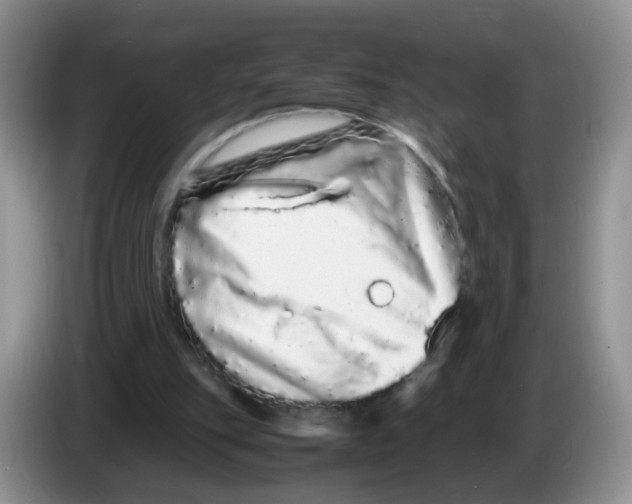 X0000086260151200704262003