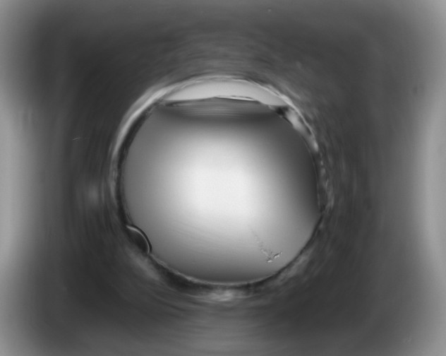 X0000086260152200704262003