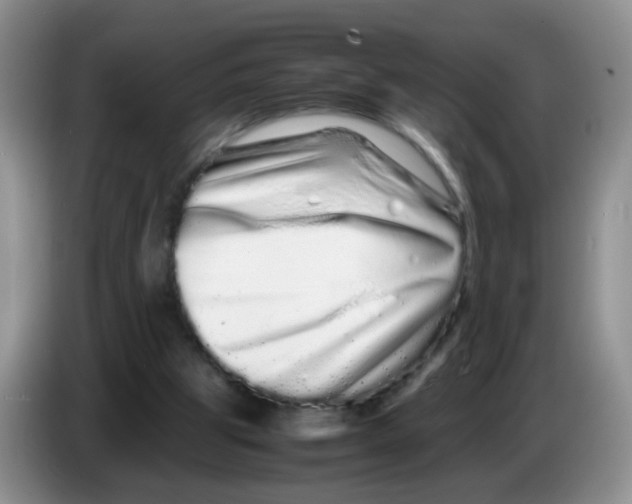 X0000086260153200704262003