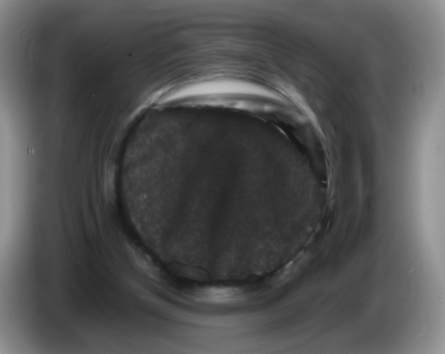 X0000086260154200704262003