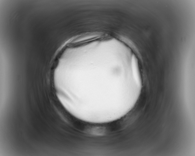 X0000086260155200704262003