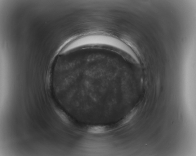 X0000086260156200704262003