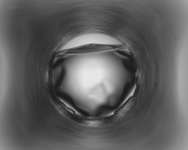 X0000086260158200704262003
