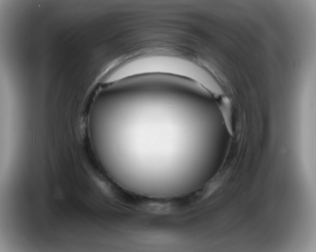 X0000086260160200704262003