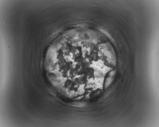 X0000086260161200704262003