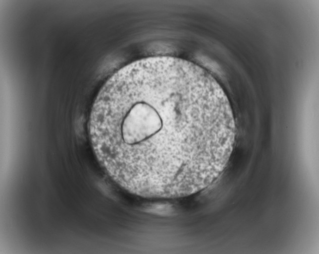 X0000086260162200704262003