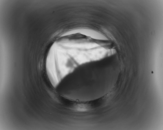 X0000086260163200704262003
