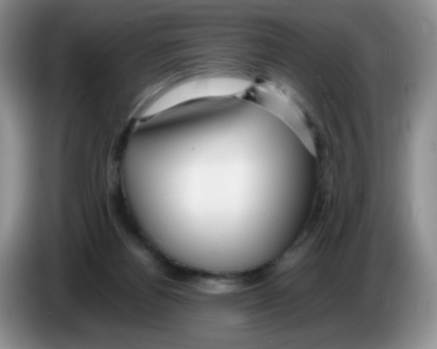 X0000086260164200704262003
