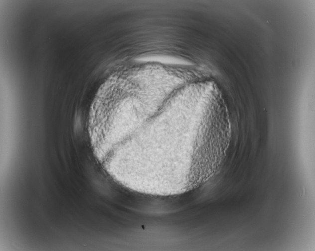 X0000086260166200704262003