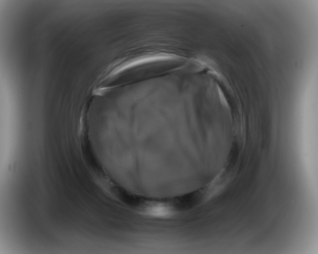 X0000086260167200704262003