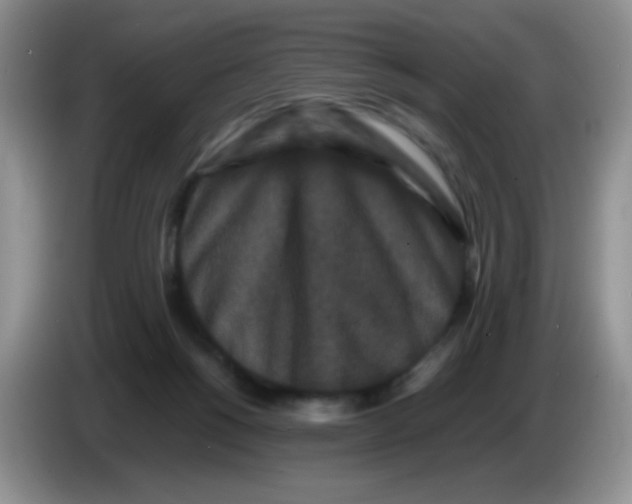 X0000086260168200704262003