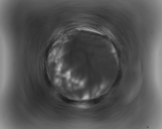 X0000086260169200704262003