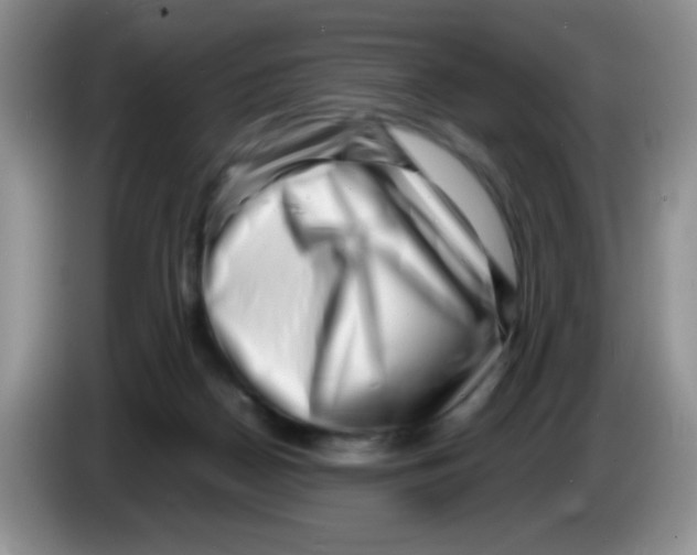 X0000086260170200704262003