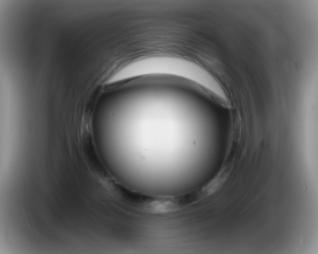 X0000086260172200704262003