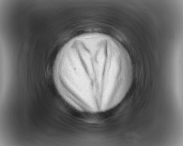 X0000086260173200704262003