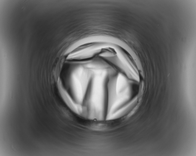 X0000086260174200704262003