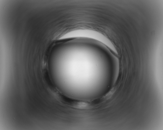 X0000086260176200704262003