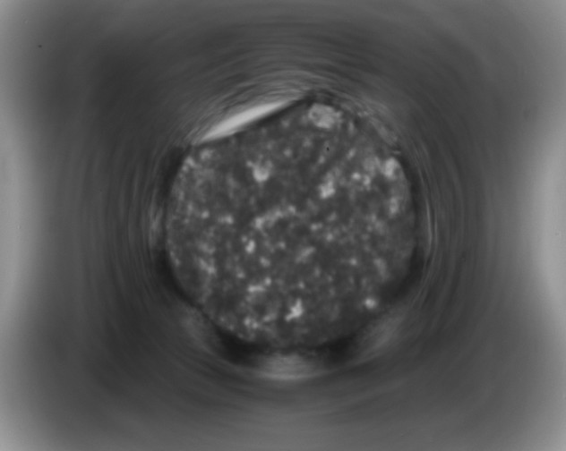 X0000086260177200704262003