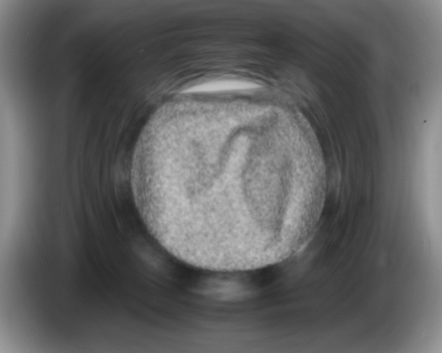 X0000086260179200704262003