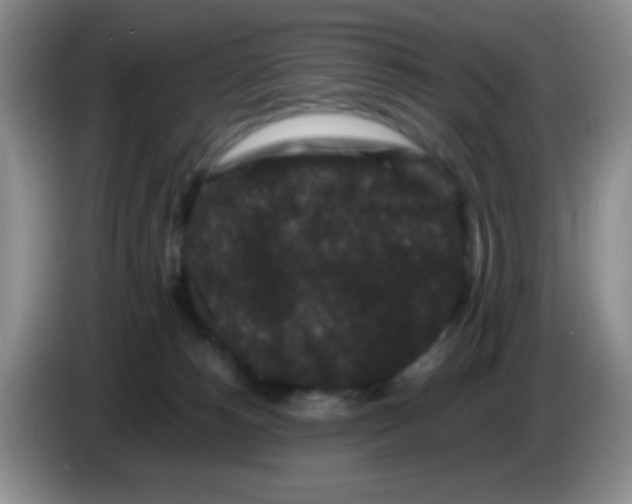 X0000086260180200704262003