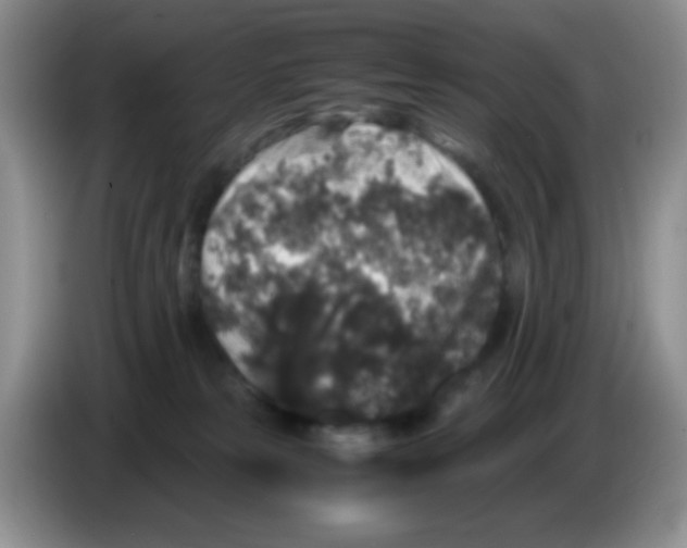 X0000086260181200704262003