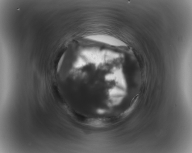 X0000086260182200704262003