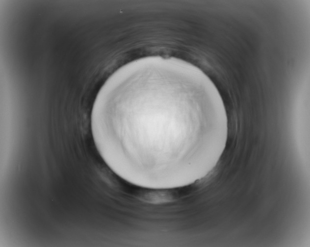 X0000086260183200704262003