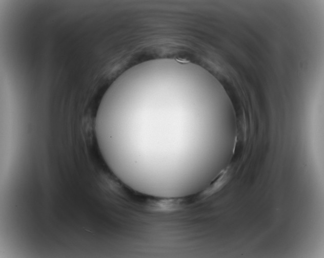 X0000086260184200704262003