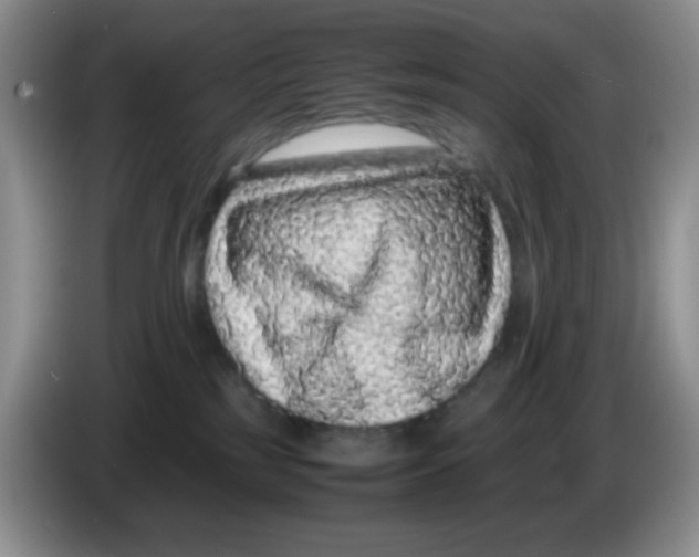 X0000086260185200704262003