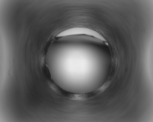 X0000086260188200704262003