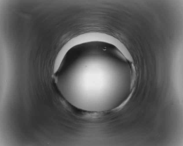 X0000086260190200704262003