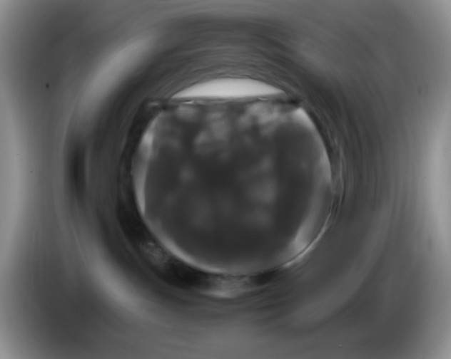 X0000086260191200704262003