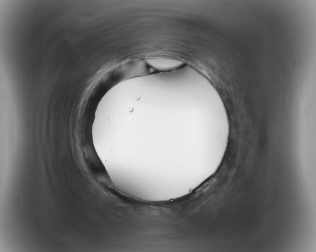X0000086260193200704262002