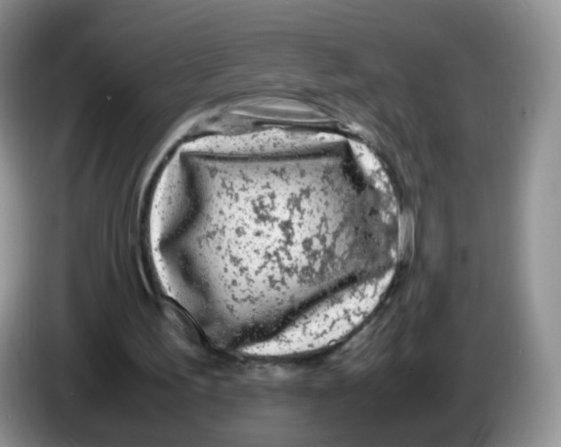 X0000086260195200704262002