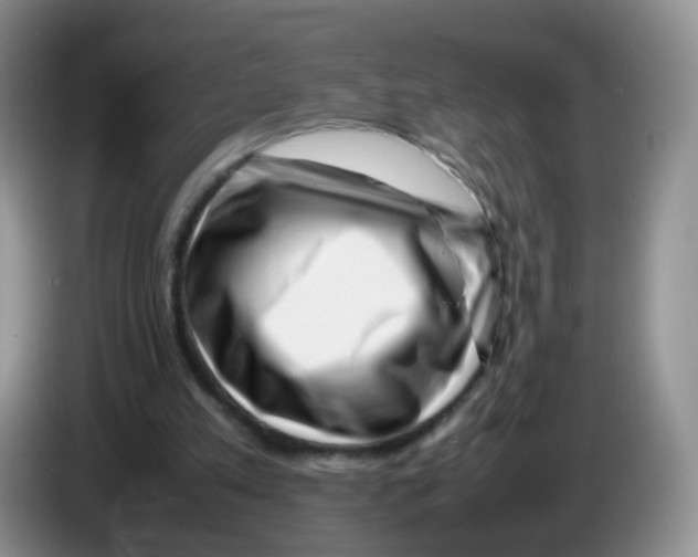 X0000086260197200704262002